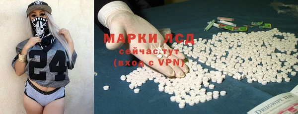 прущие грибы Балахна